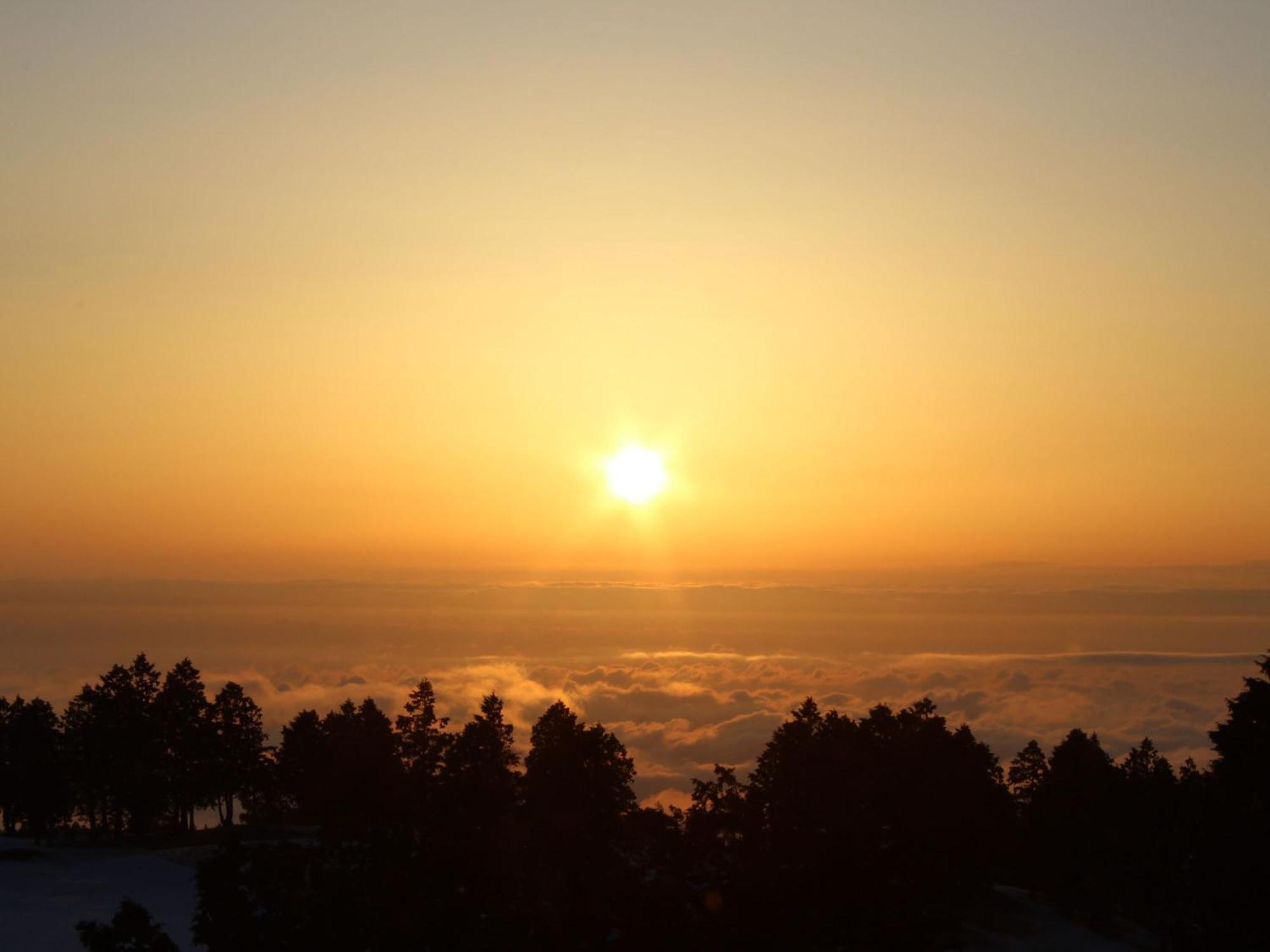 Hakone Yunohana Prince Hotel Kanagawa Εξωτερικό φωτογραφία