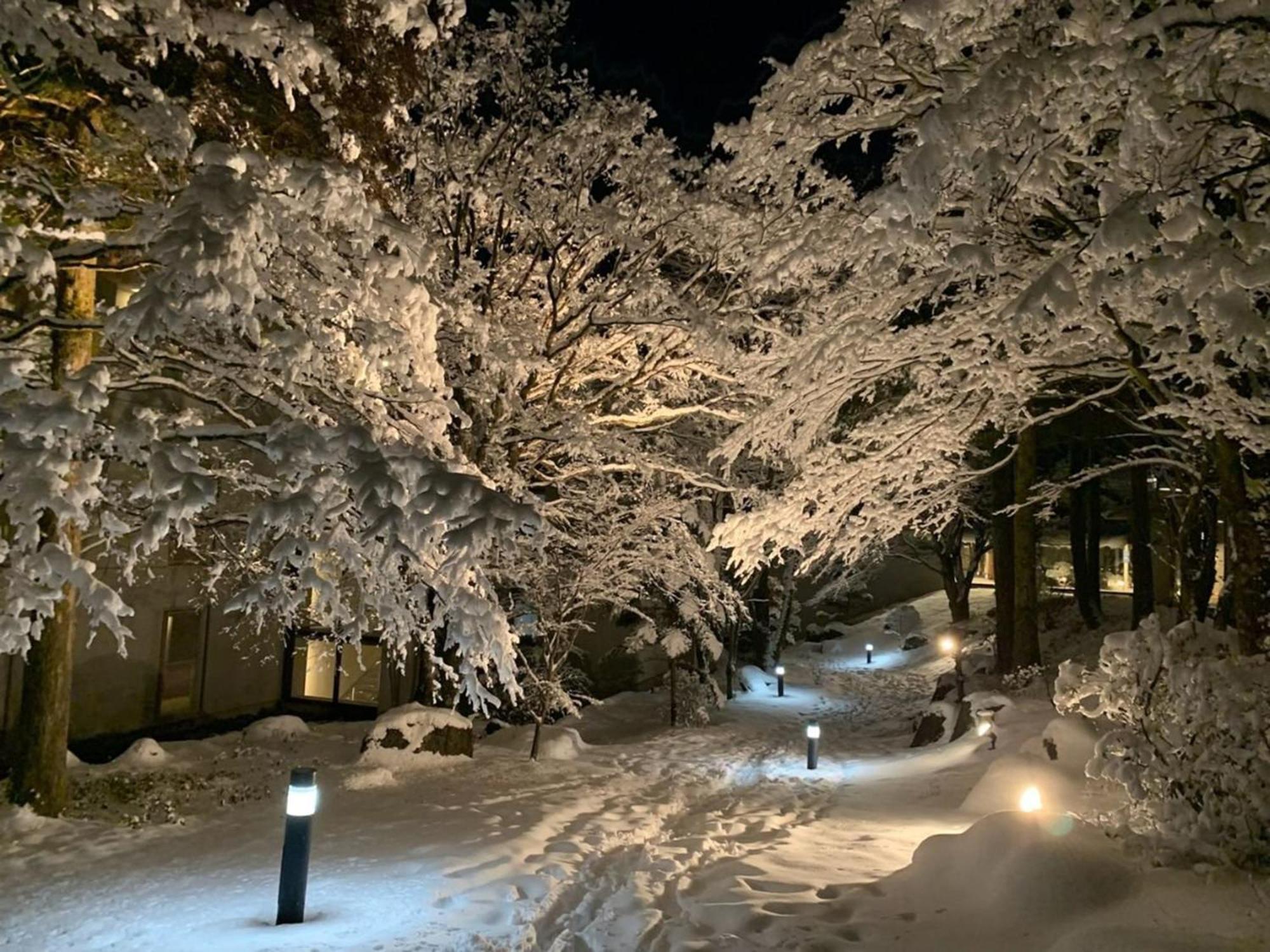 Hakone Yunohana Prince Hotel Kanagawa Εξωτερικό φωτογραφία