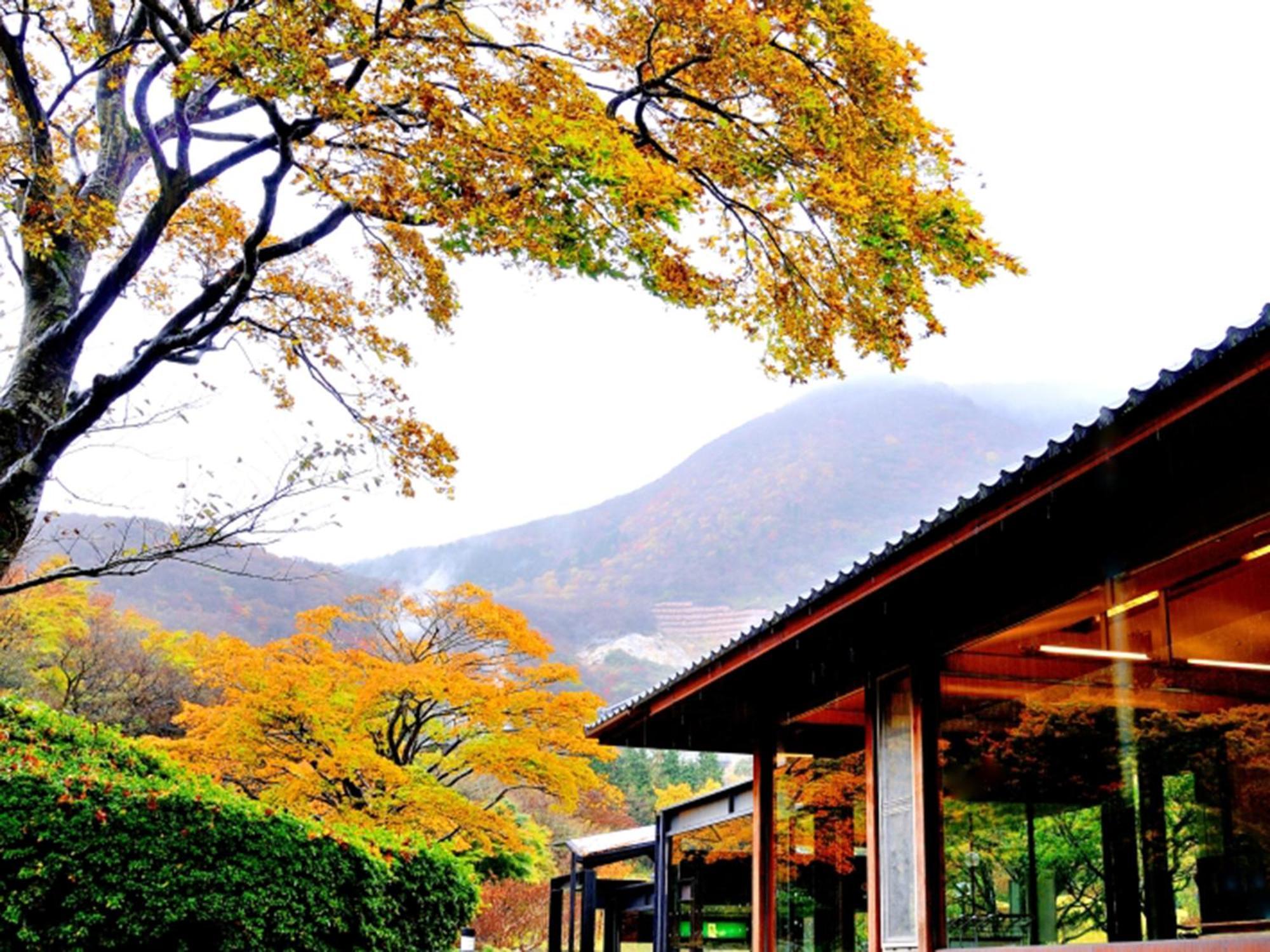 Hakone Yunohana Prince Hotel Kanagawa Εξωτερικό φωτογραφία