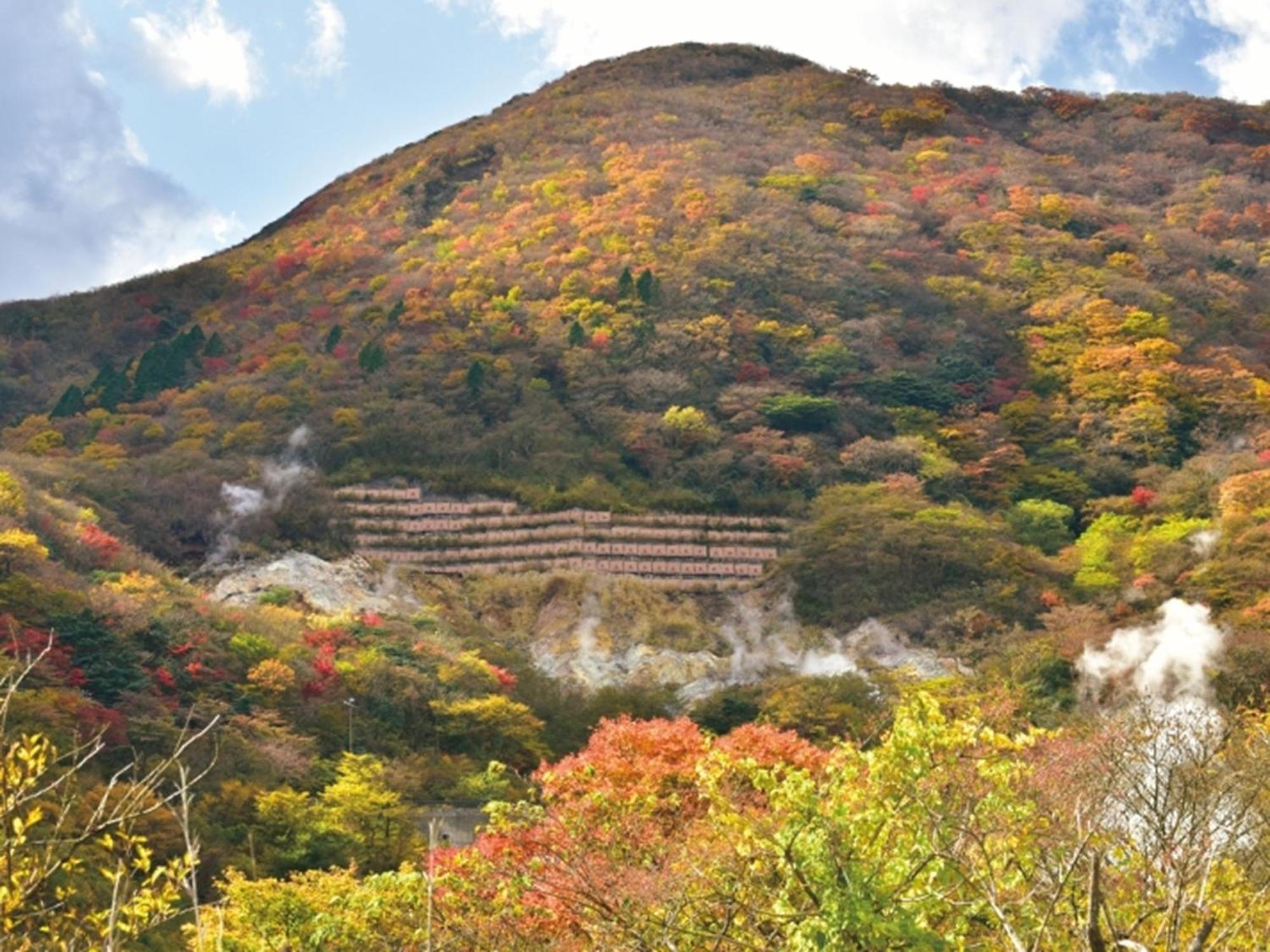 Hakone Yunohana Prince Hotel Kanagawa Εξωτερικό φωτογραφία