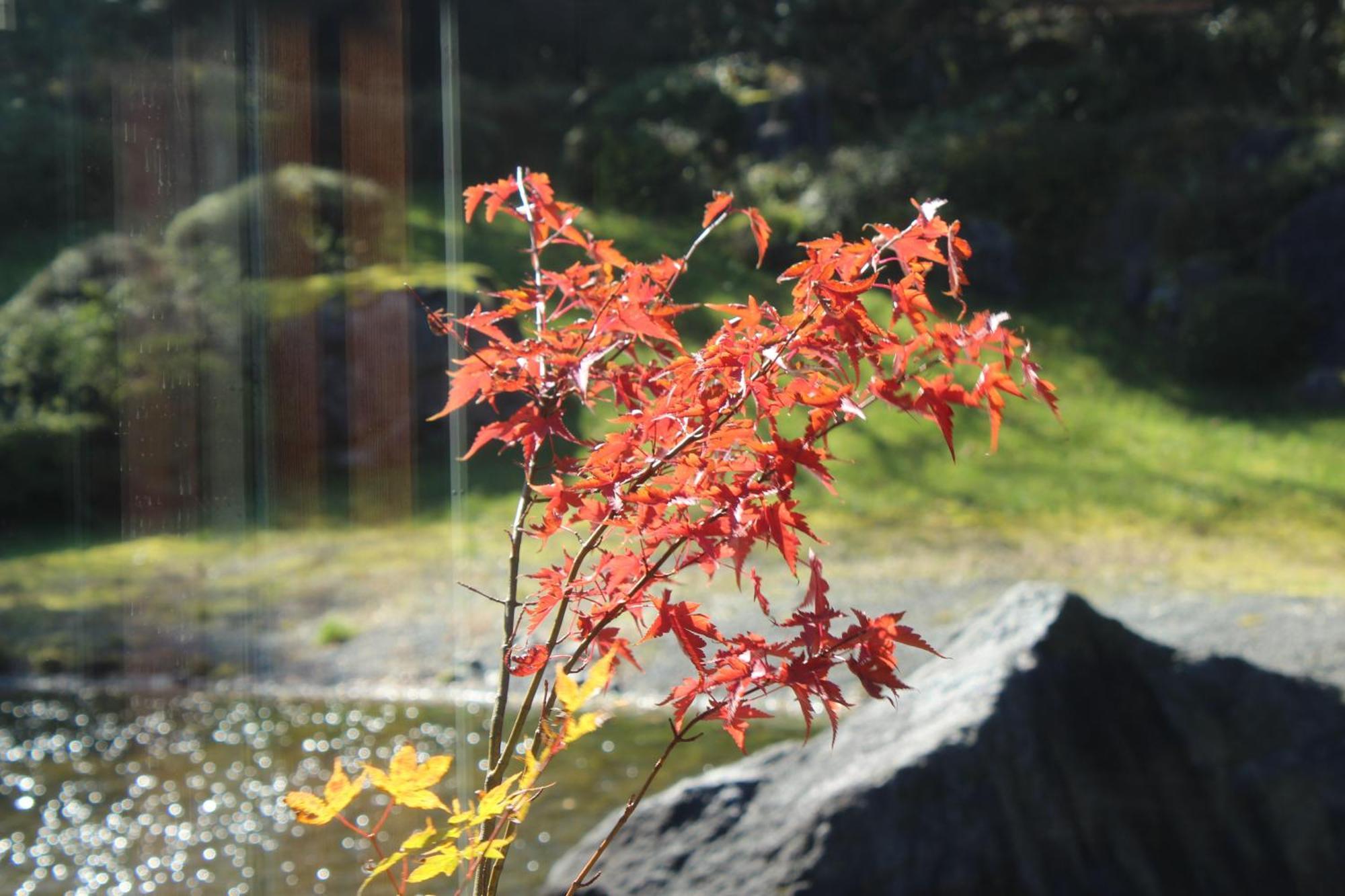 Hakone Yunohana Prince Hotel Kanagawa Εξωτερικό φωτογραφία