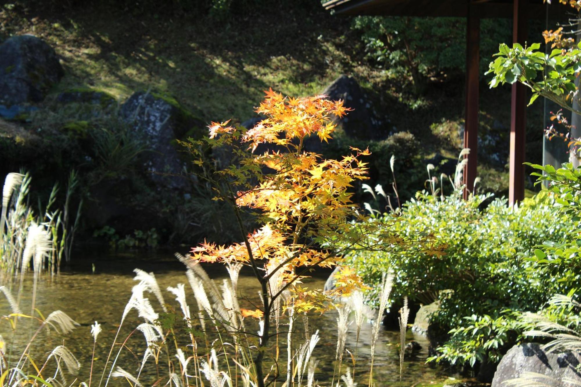 Hakone Yunohana Prince Hotel Kanagawa Εξωτερικό φωτογραφία